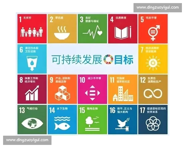 以多元发展为核心推动力，构建全面创新的未来发展新格局